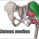 턴피트니스 이미지