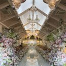 국제웨딩컨벤션(주) | 평택 웨딩홀 국제웨딩컨벤션 홀투어 솔직후기(라루스홀, 팰리스홀 비교)