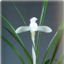 백화회관 이미지