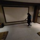 안중솔라스파 이미지