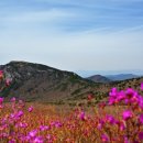 비슬산 이미지