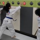 경희대 에어펀 태권도장 이미지