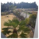 와흘리 1798 이미지