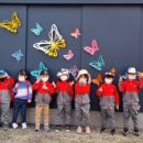 영양초등학교 이미지