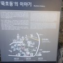 묵호등대바람의언덕논골카페 이미지