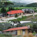 삼시세끼 이미지