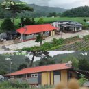 맛있는삼시세끼 이미지