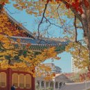트래블레이블