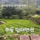달래맨션 | 하동 여행 1박 2일 달래맨션 1번방 후기 하동 펜션 추천