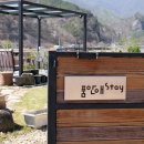 품안애stay