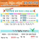 스페셜여행사 이미지