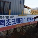 손광석농장 이미지