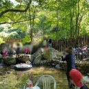 계곡맑은하늘펜션 이미지