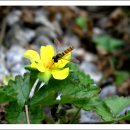 너 나 그리고 우리 이미지