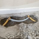 산본임광그대가 이미지