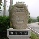 내장산논실