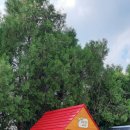 칠성초등학교 병설유치원 이미지