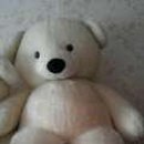 곰 체육관 이미지