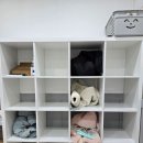 선 태권도장 이미지