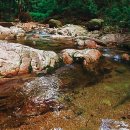 새장골공원 이미지