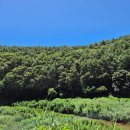 슈빌라움 이미지