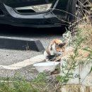 선우식육식당