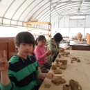 안평초교 이미지