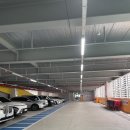 하레하레 이미지