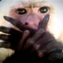 인헌동-23 이미지