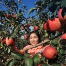 청과물처리장 이미지