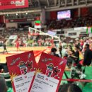 종합운동장본부석(1층) | [2025-2026 KBL 안양 정관장 레드부스터스] 안양종합운동장 프로농구 1층 S석 C열 직관 후기 :)