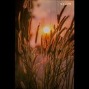 상준고시원