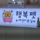 행복펫 애견미용실 이미지