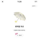 로또편의점 - 보성군 채동선로 218-1 | 로또편의점