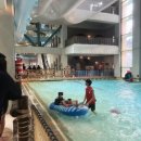 캐리비안 | 겨울 캐리비안베이 후기｜오후 입장으로도 충분, 아이랑 실내 위주로 만족했어요