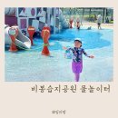 비봉인공습지 야구장 | 화성 물놀이터 비봉습지공원 운영정보 경기도 주말 아이랑 갈만한 곳