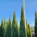 김진근농장 이미지