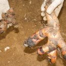 근인농장 이미지