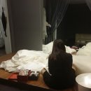 엠신디코리아 이미지