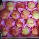 섭이네농장 | [청주맛집ㆍ가경맛집] 오성당 쫄면, 고로케, 고기만두, 꽈배기, 팥도넛 구매후기, 조치원 복숭아 구매후기