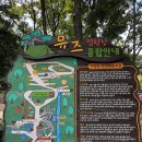 뮤즈캠핑장 | 강화도 뮤즈캠핑장 사이트추천 및 솔직후기