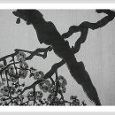 선미회관 이미지