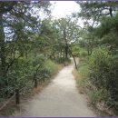 둘레길7구간 이미지