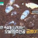 농업회사법인 기장발효주식회사 네이버블로그