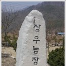 신림농장 이미지