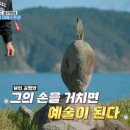 9월9일 떴다 캡틴 킴 선공개 뉴질랜드 슬리퍼섬, 균형의 마에스트로 영상 이미지