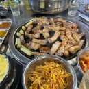 함박이네 애견샵 이미지