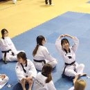 국가대표 스타클래스 태권도 이미지