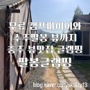 팔봉글램핑 | 수주팔봉뷰에 낭만가득 무료캠프파이어까지 즐길 수 있었던 충청도글램핑장 팔봉글램핑(내돈내산)