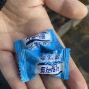 진주 호탄동 맛집 호탄곱도리탕! 후기